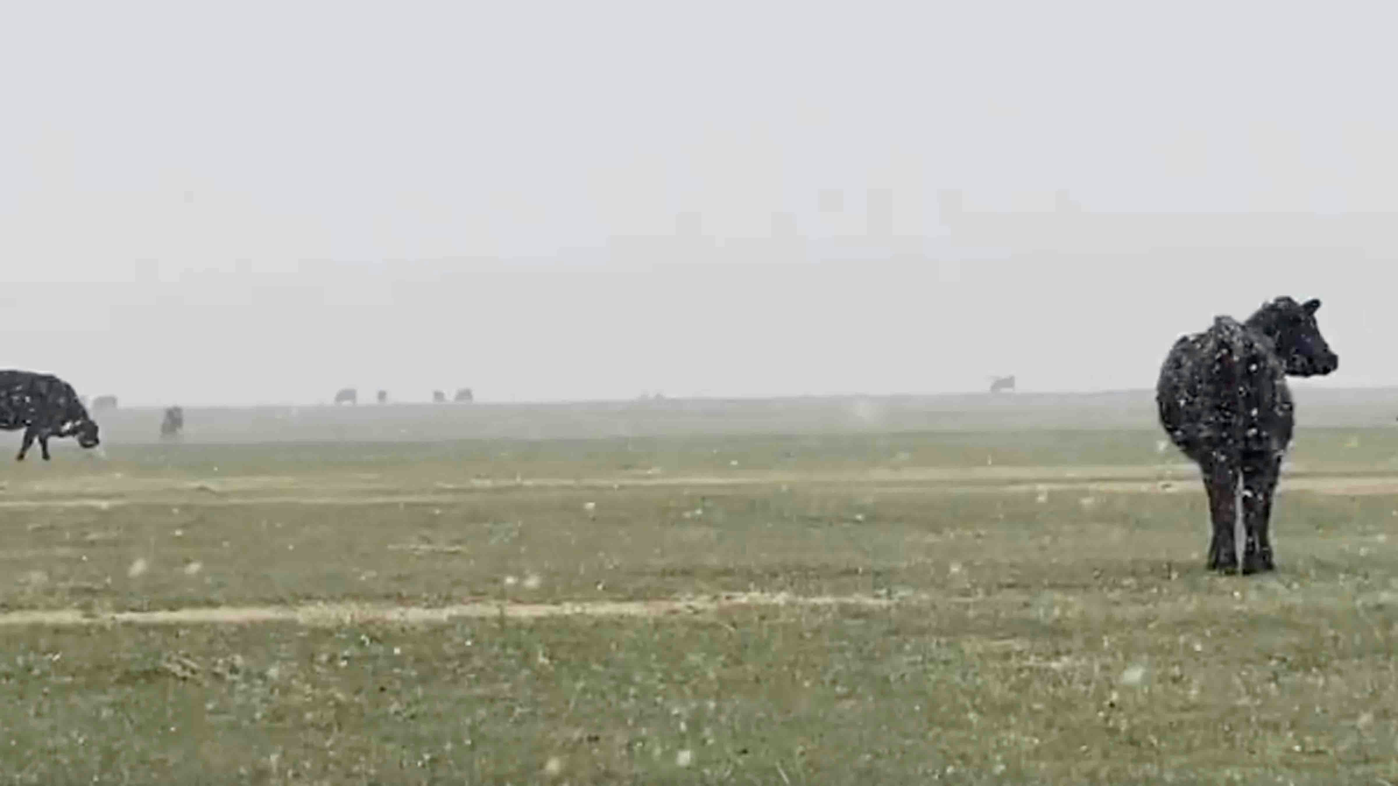 You still here 5 22 25