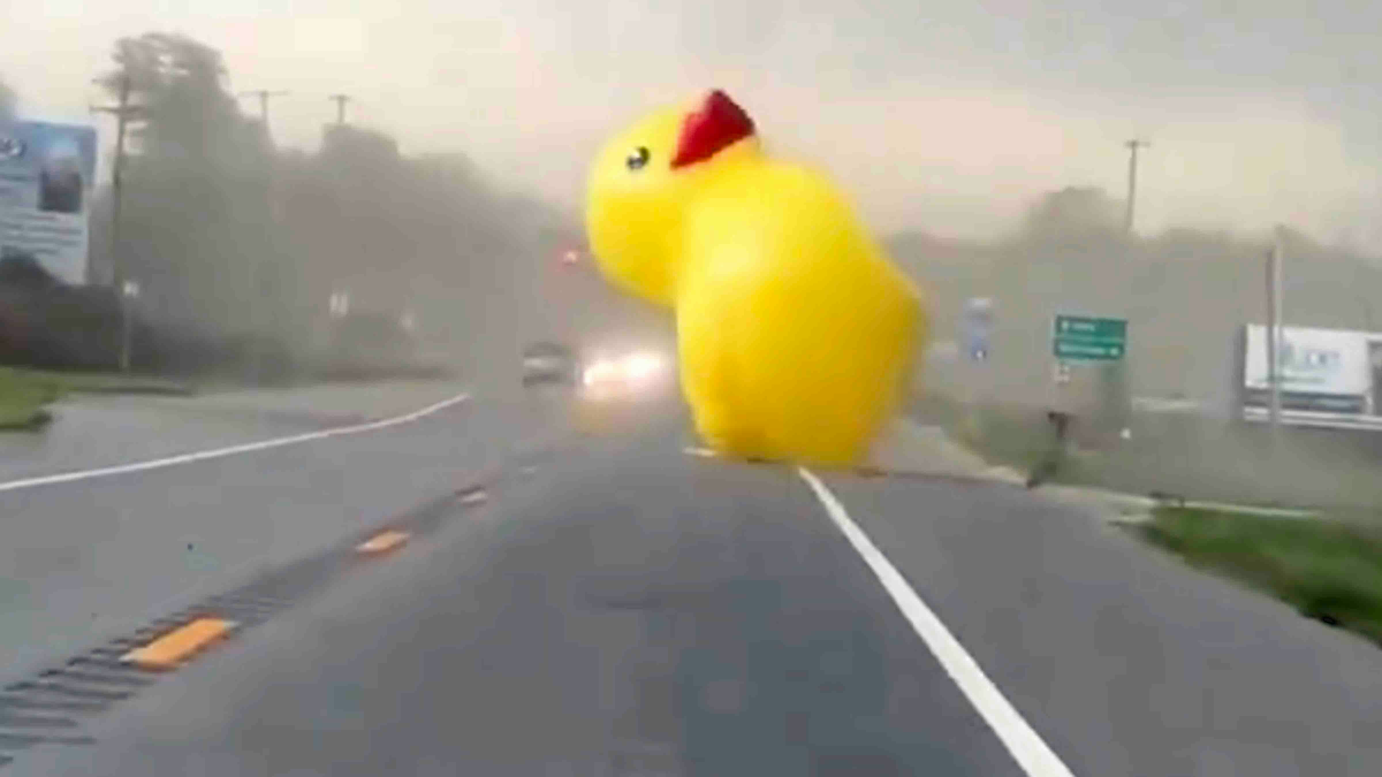 You still here 5 23 24