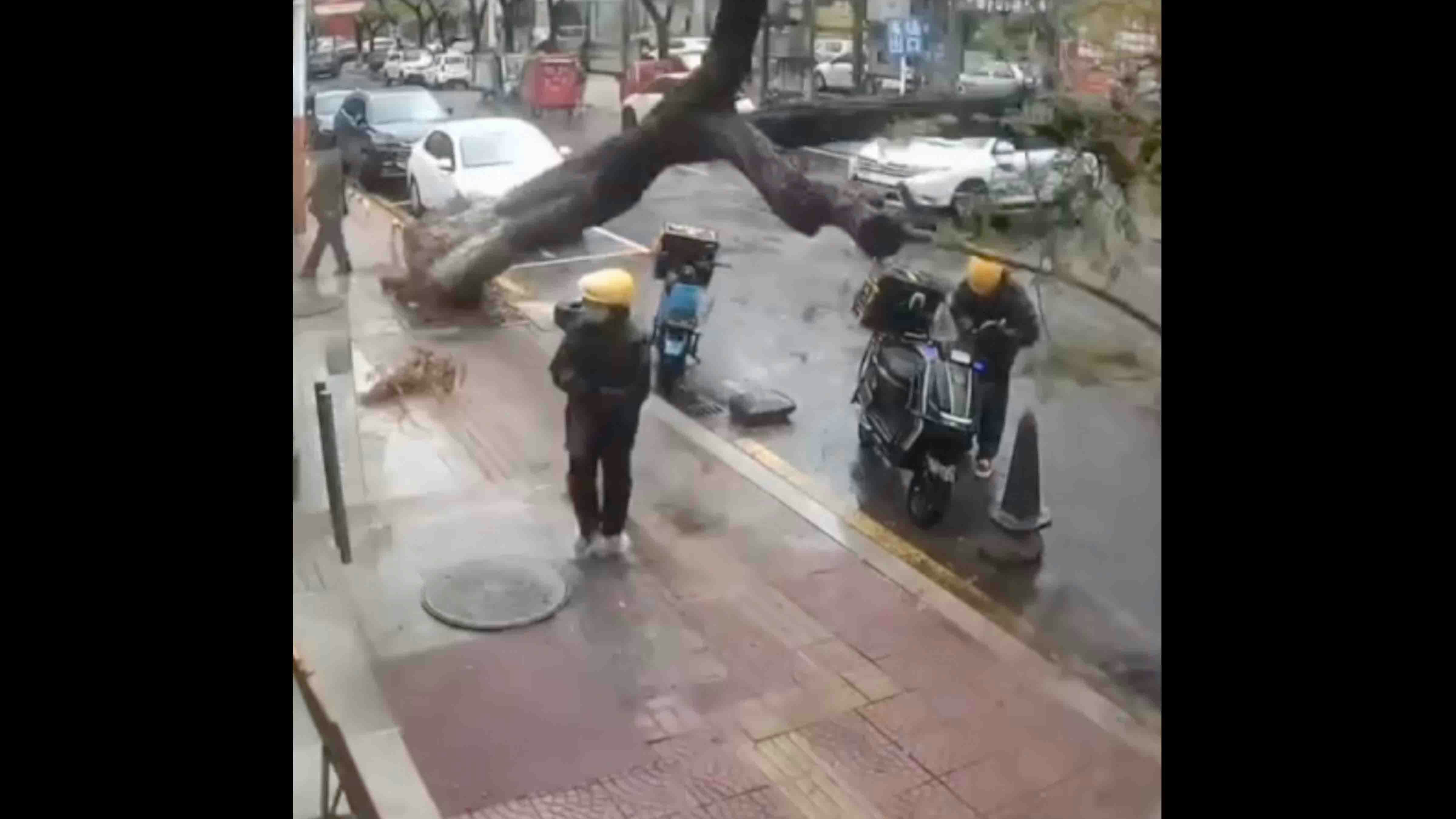 You still here 5 3 24