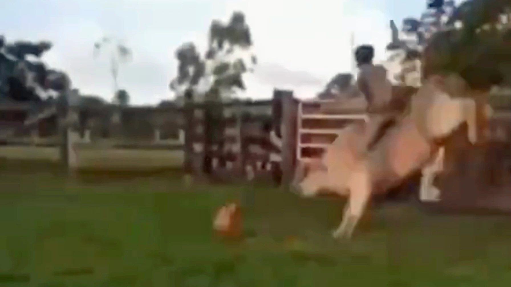 You still here 5 30 23