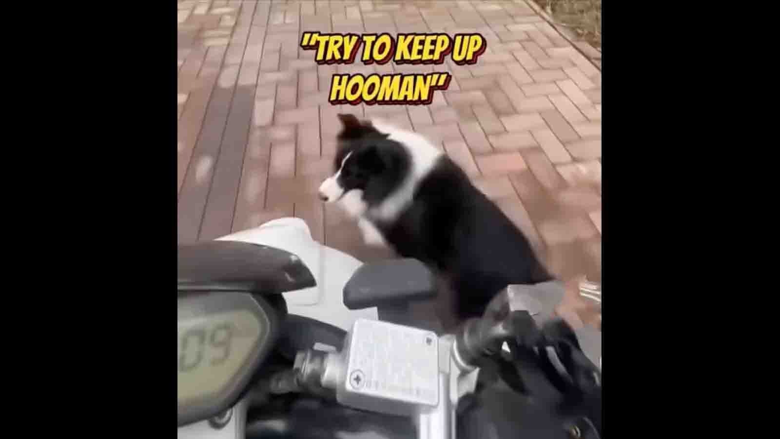 You still here 6 14 25 no play