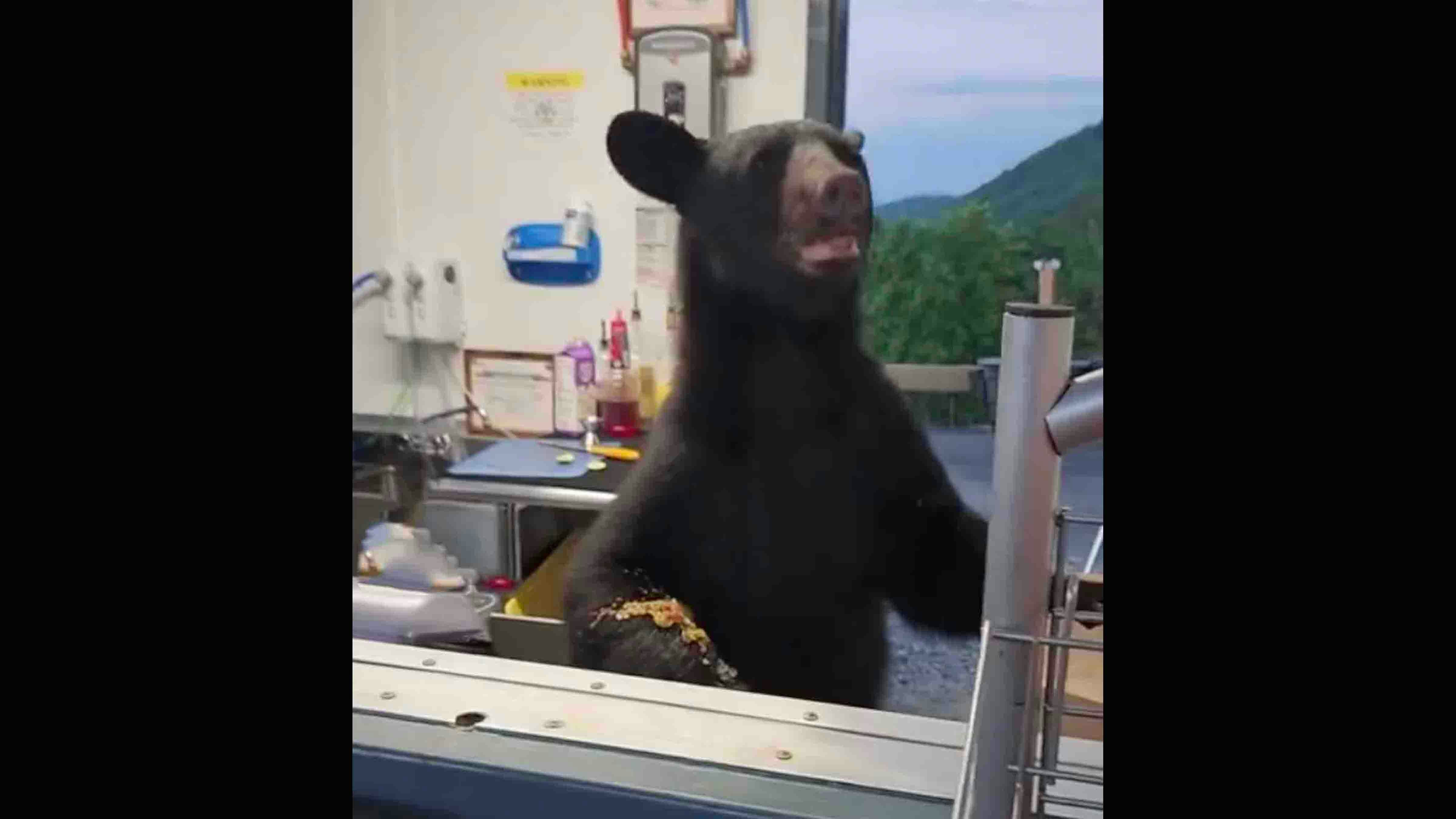 You still here 6 23 24