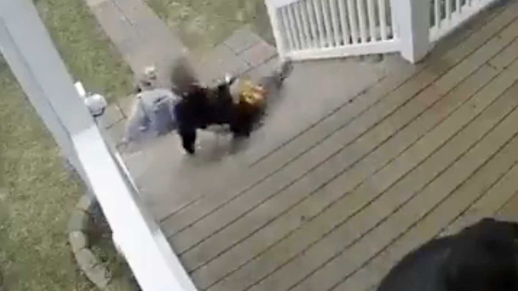 You still here 6 6 23