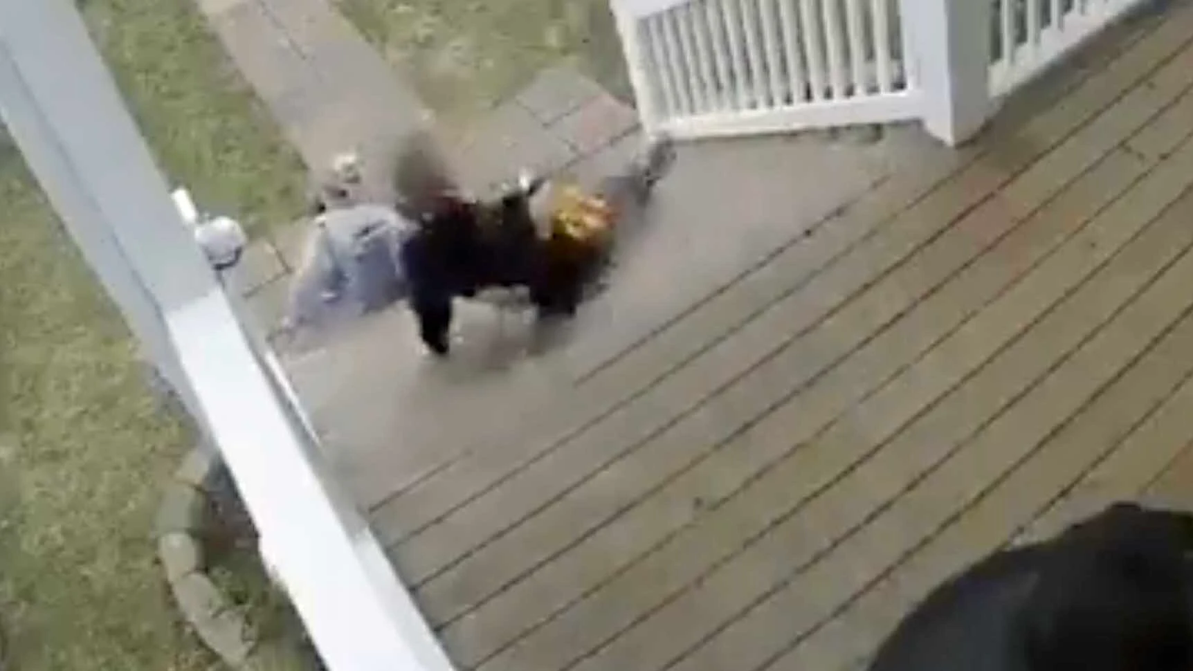 You still here 6 6 23