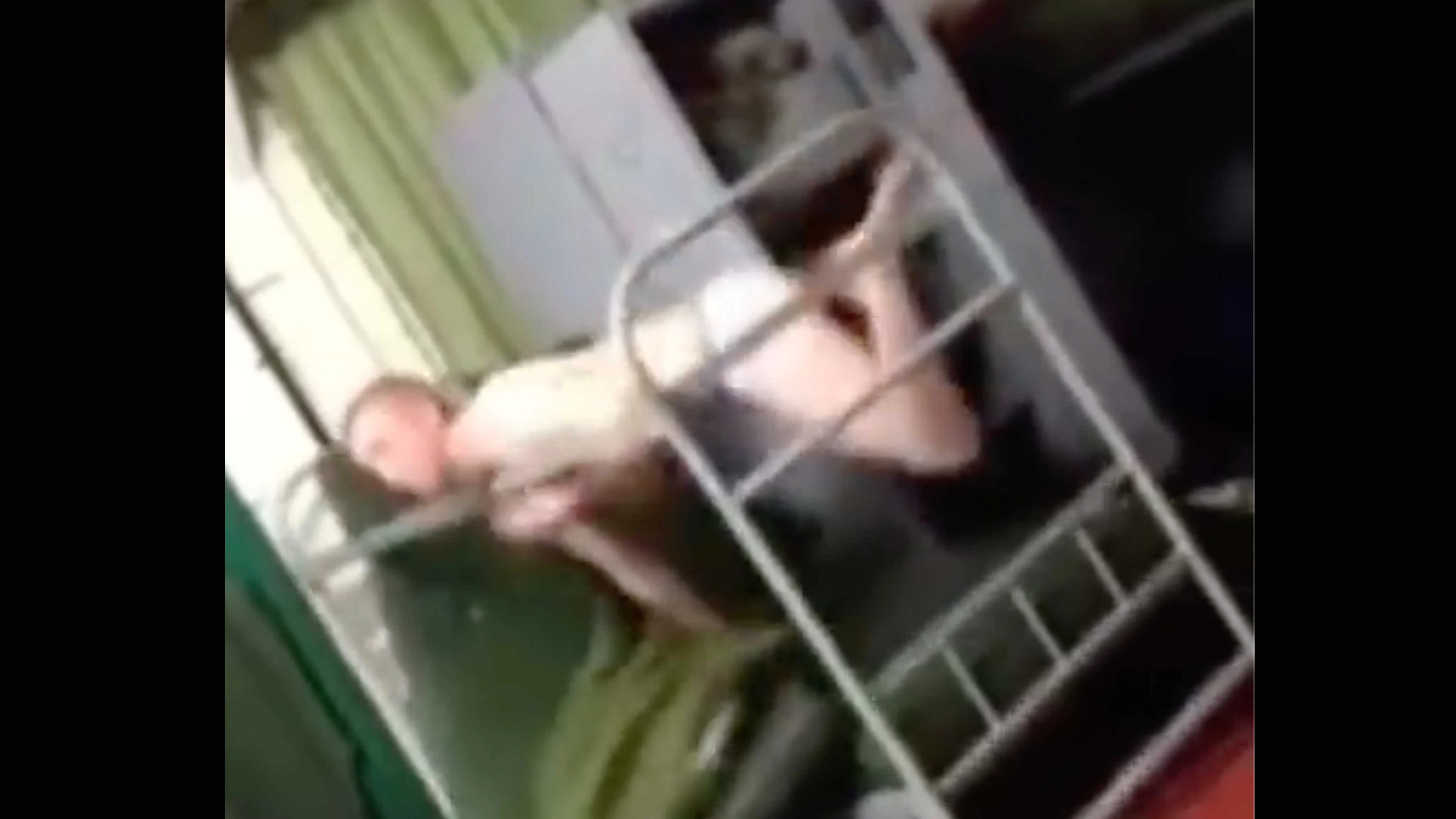 You still here 7 11 23