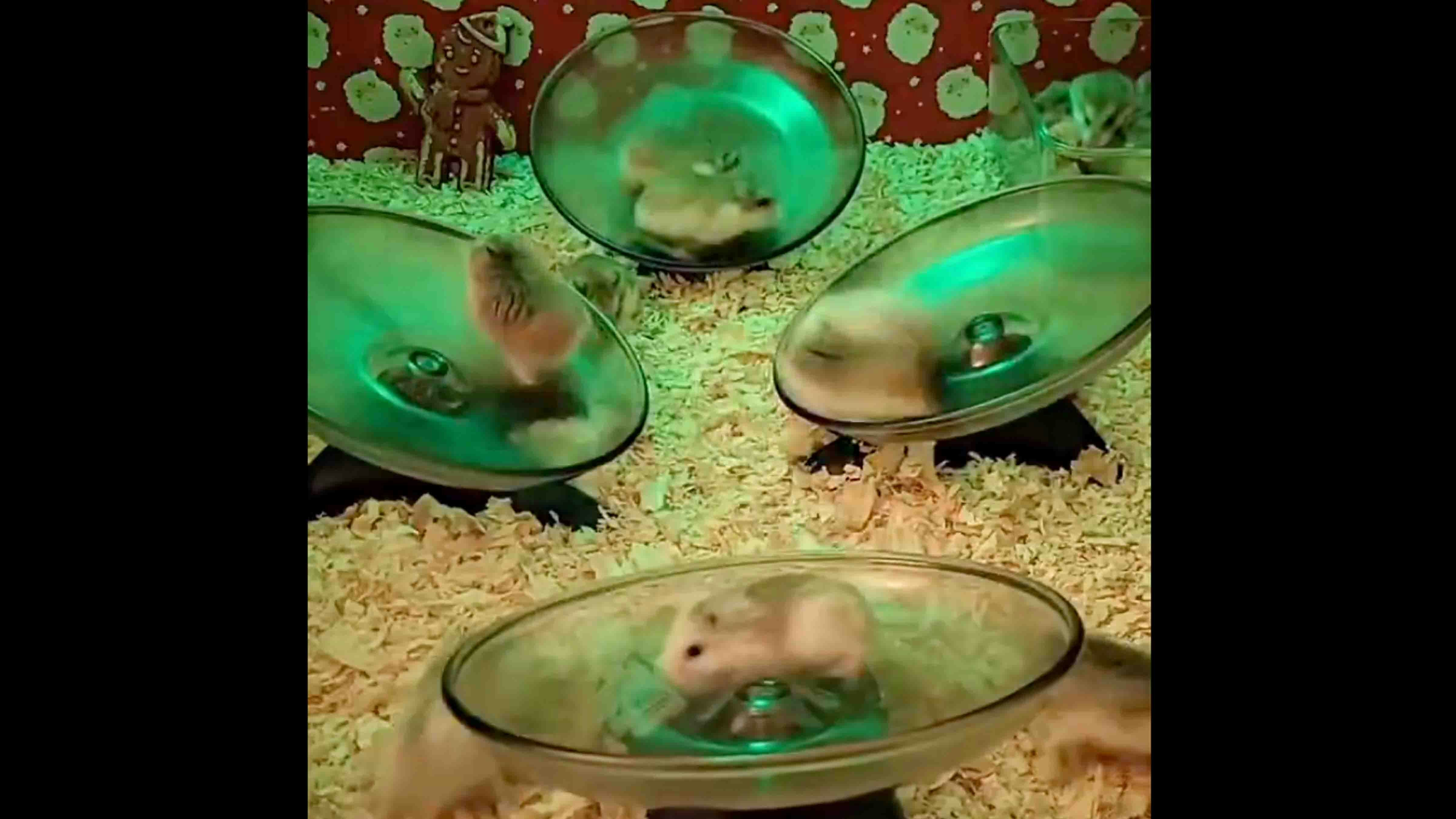 You still here 7 15 25