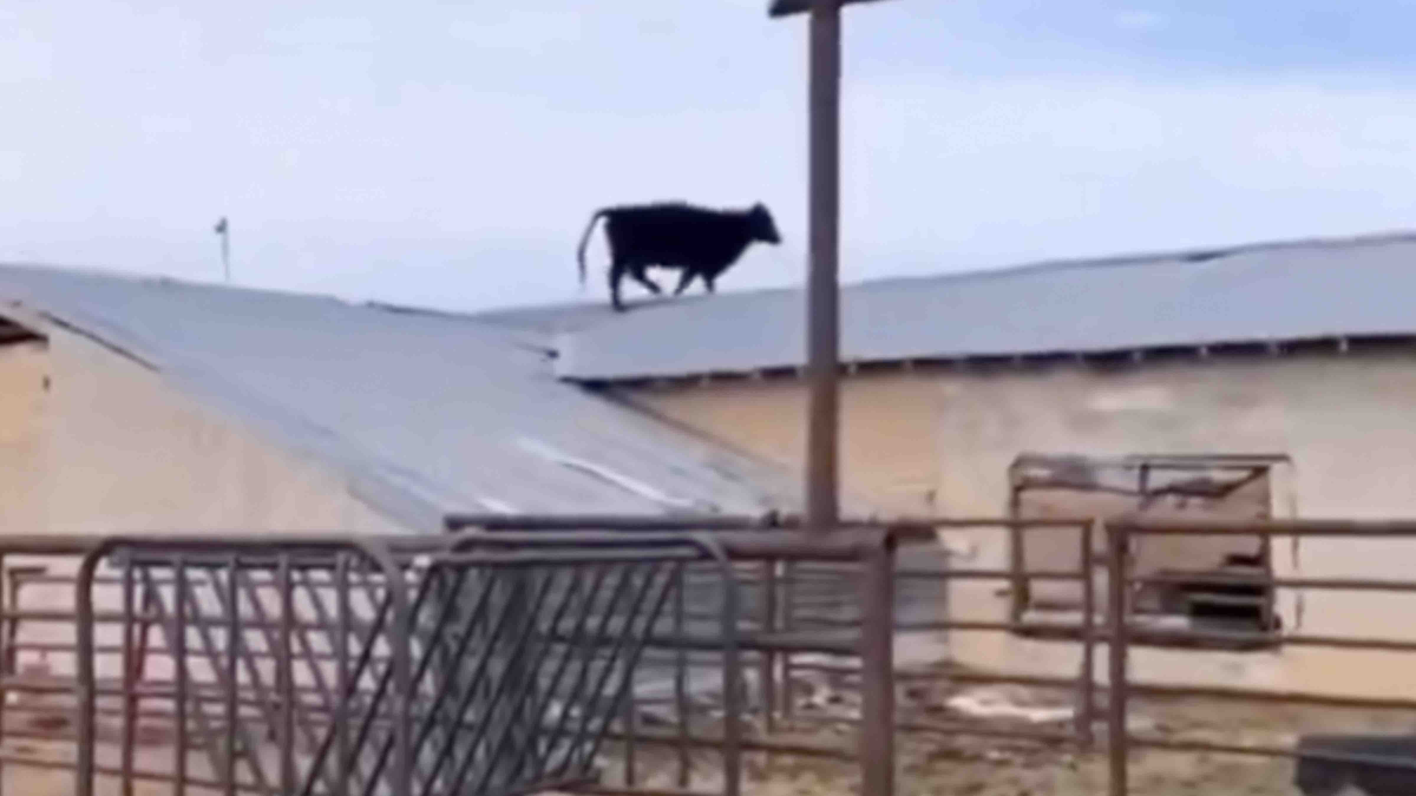 You still here 7 18 24