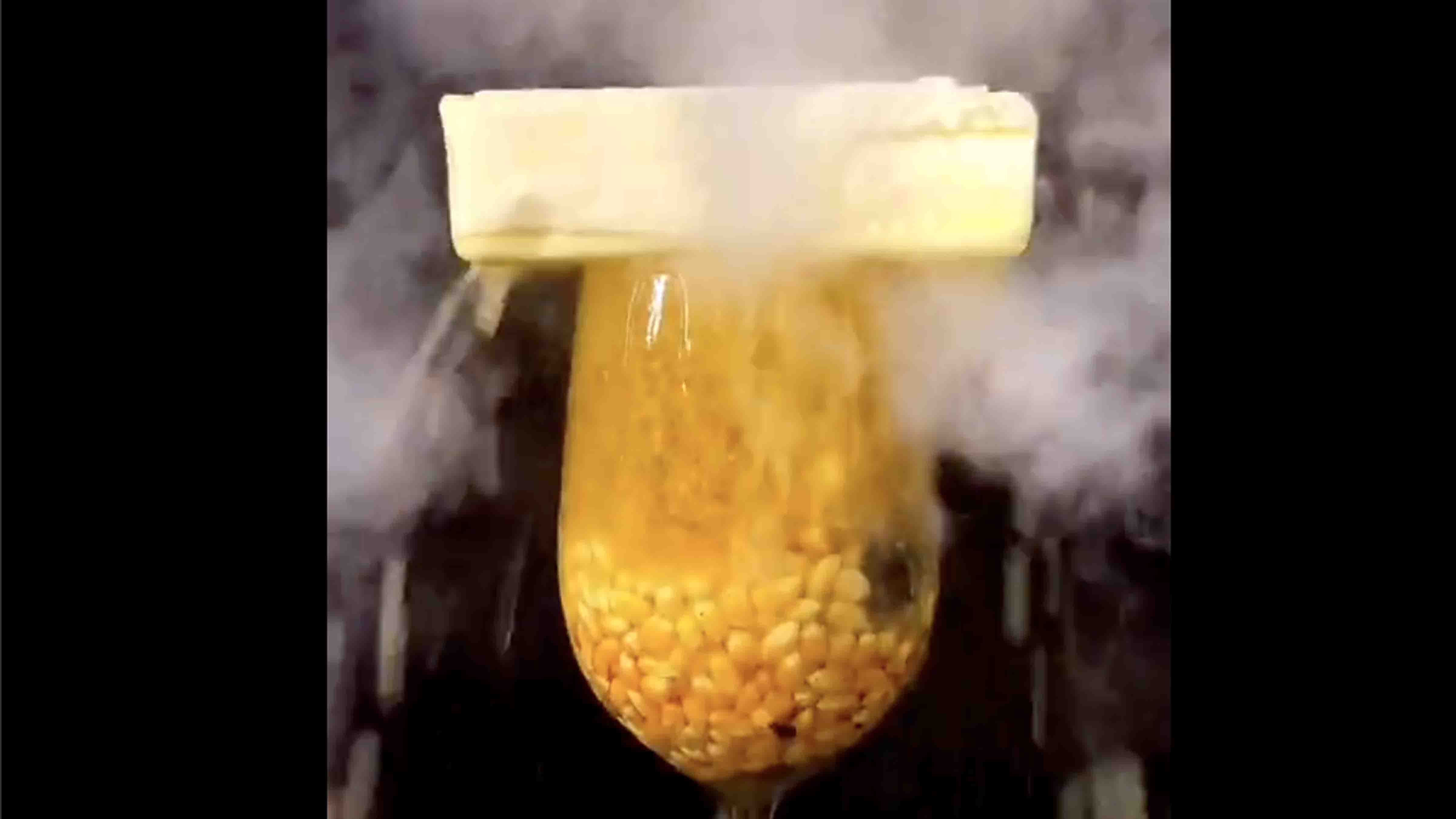 You still here 7 2 24