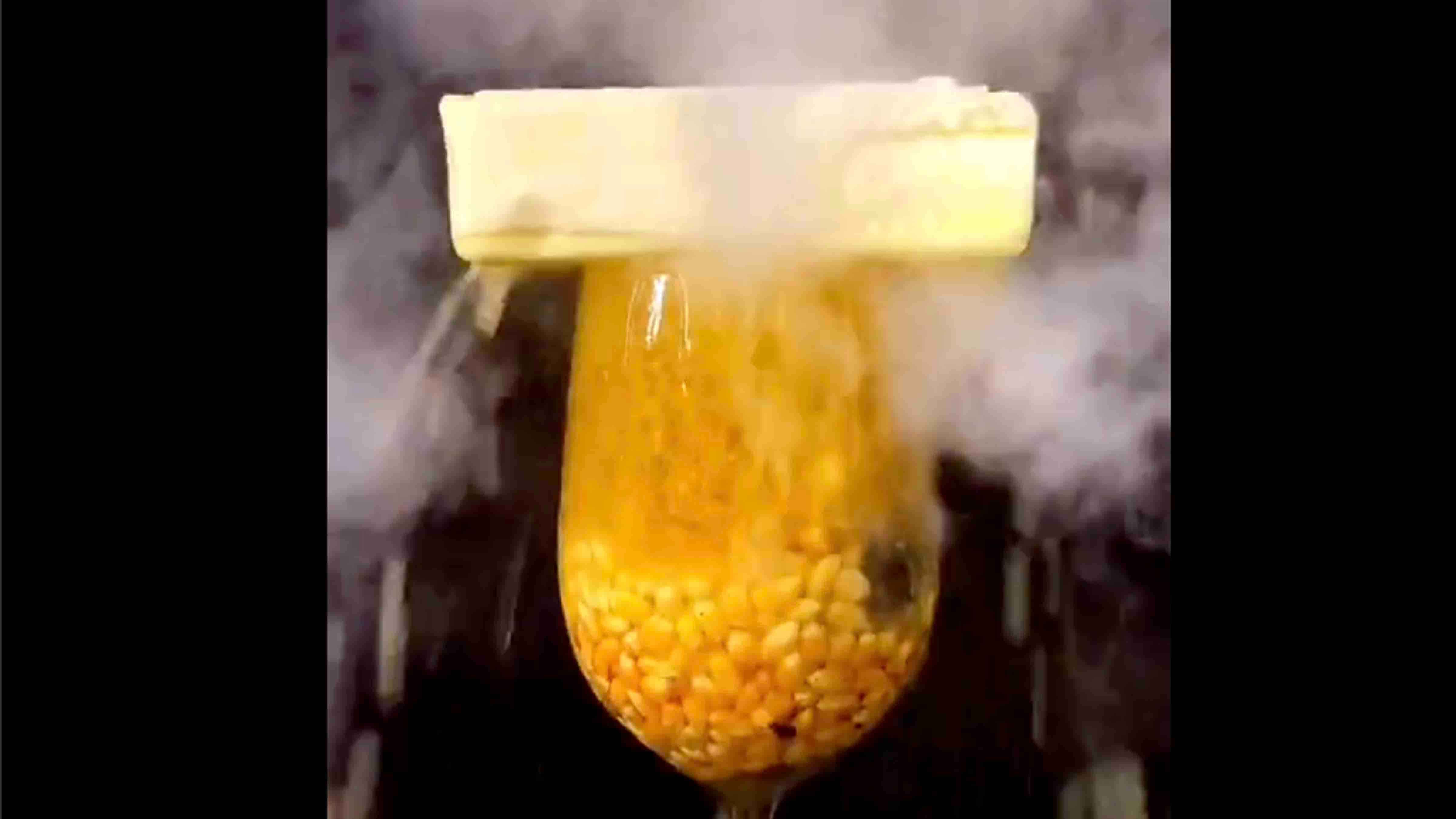 You still here 7 2 24