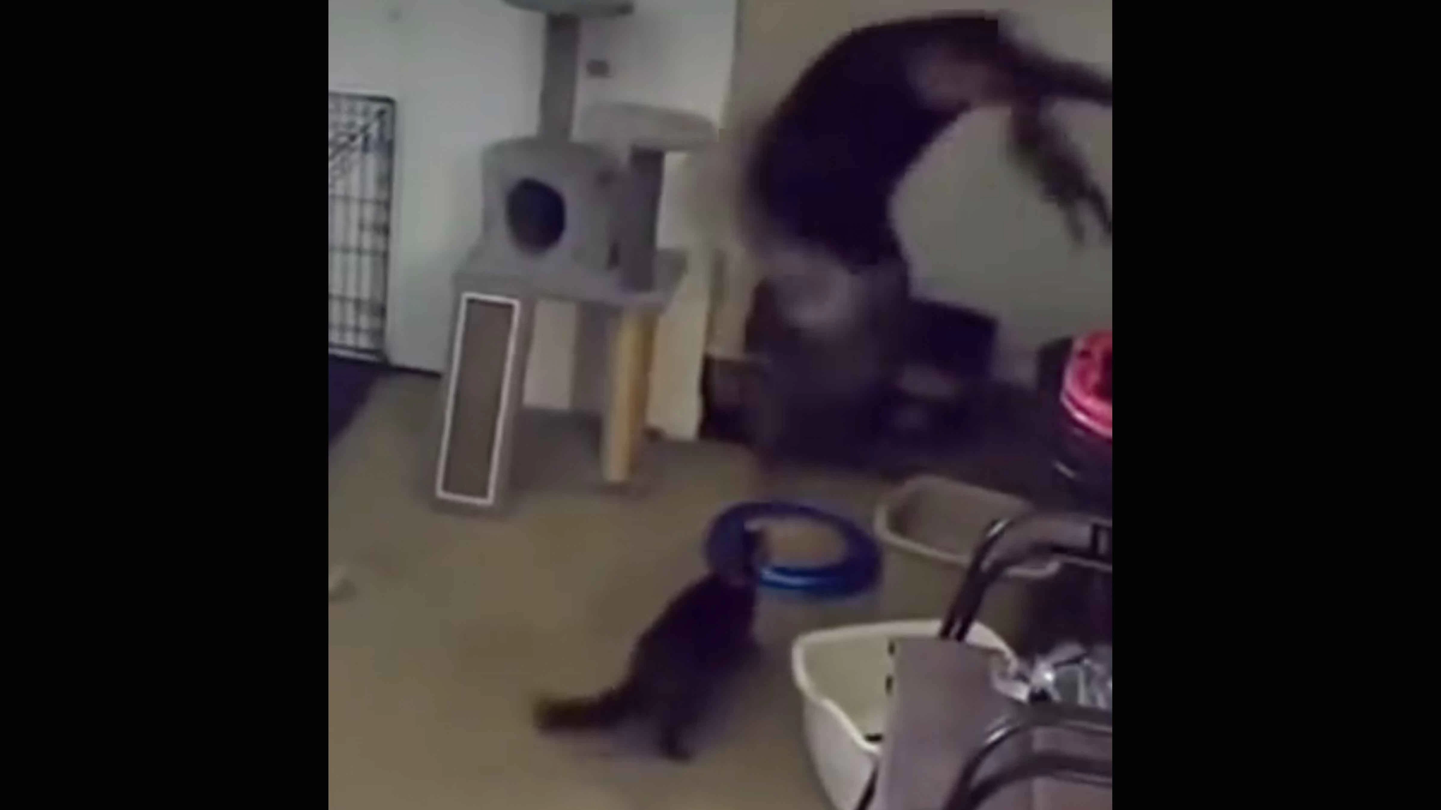 You still here 7 20 23