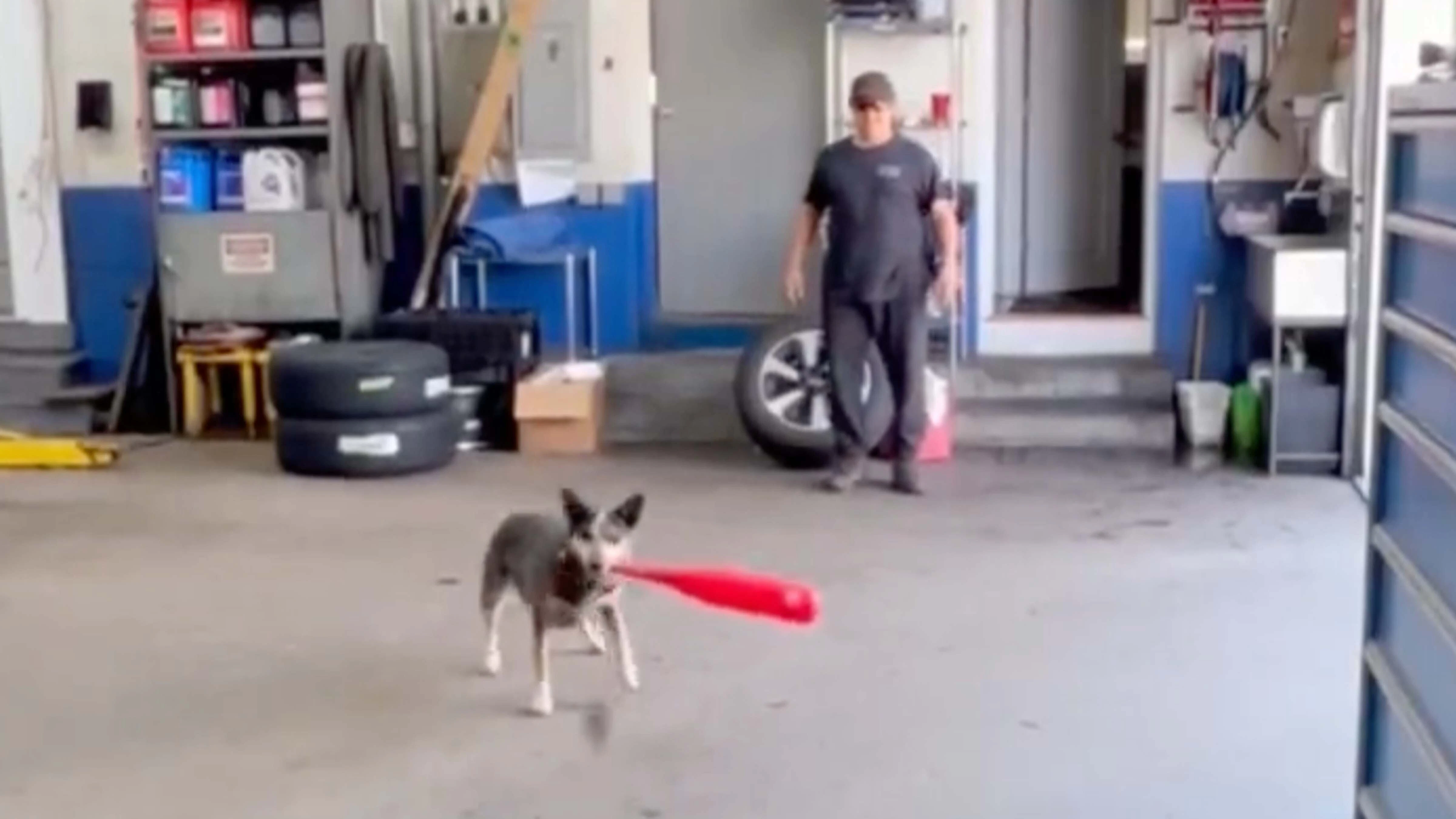 You still here 7 4 23