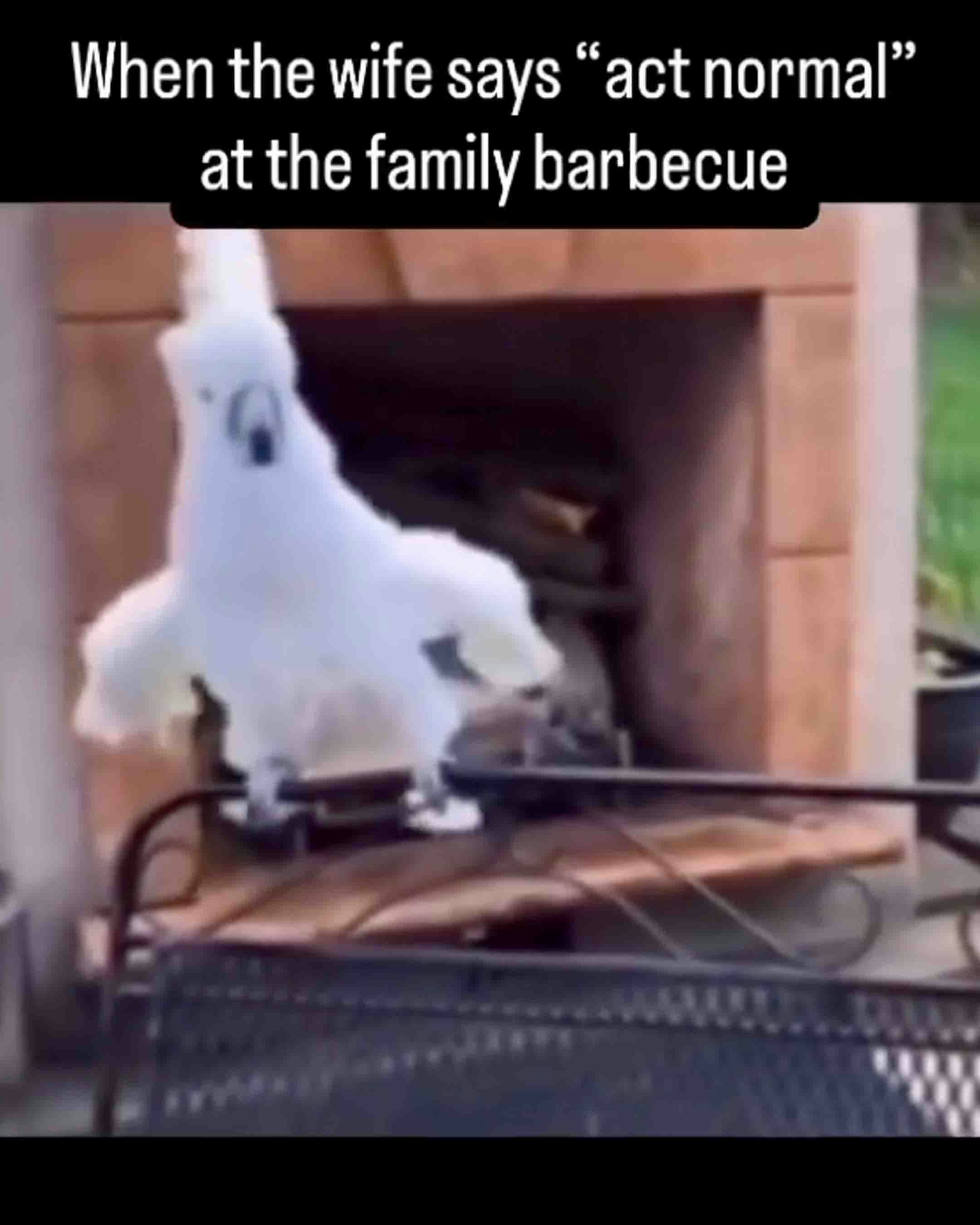 You still here 8 1 25