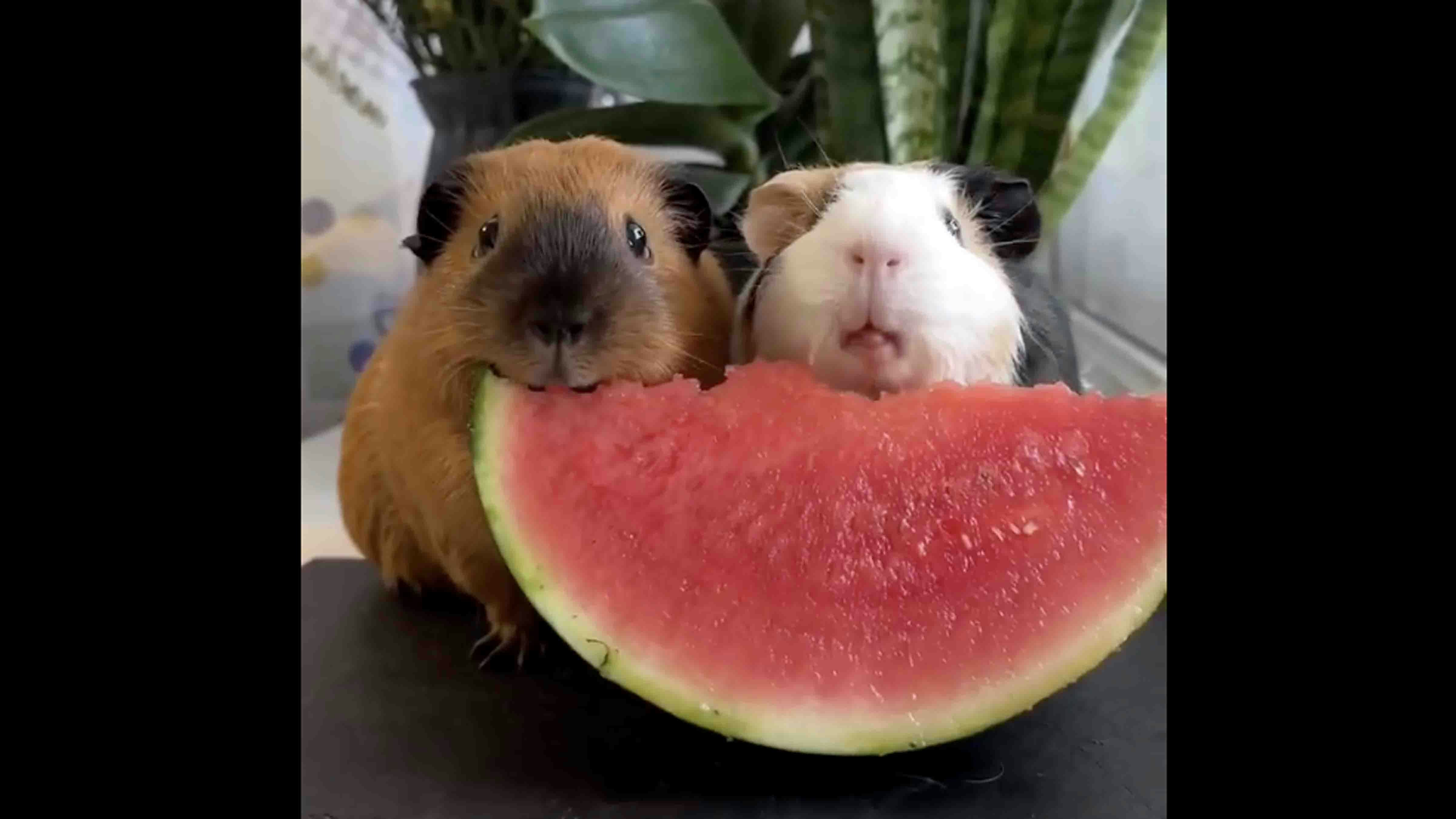 You still here 8 10 25