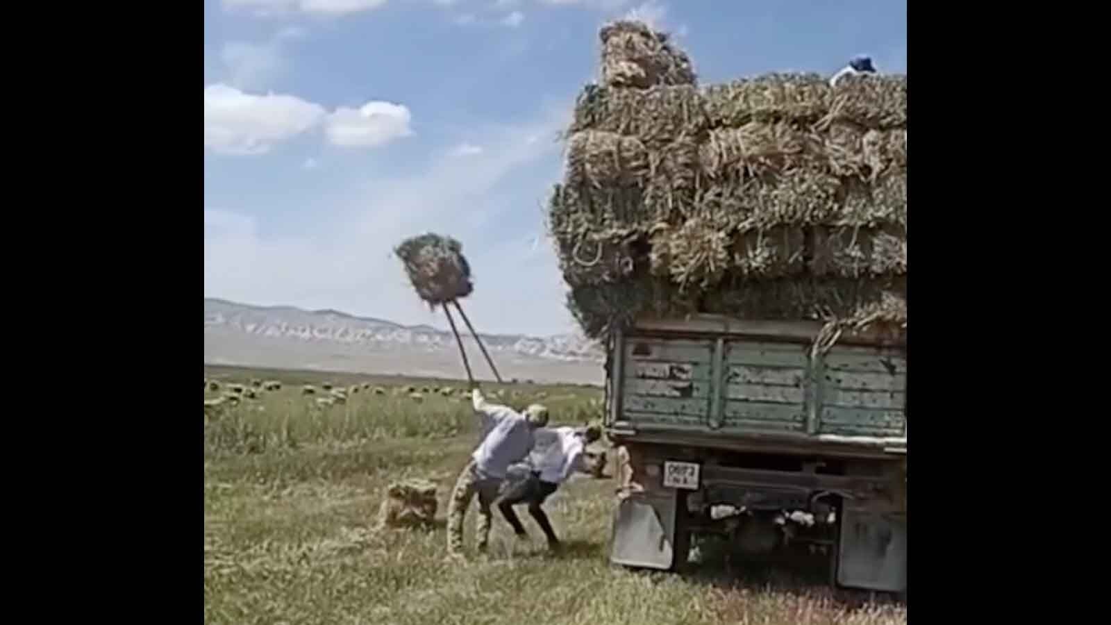 You still here 8 24 24