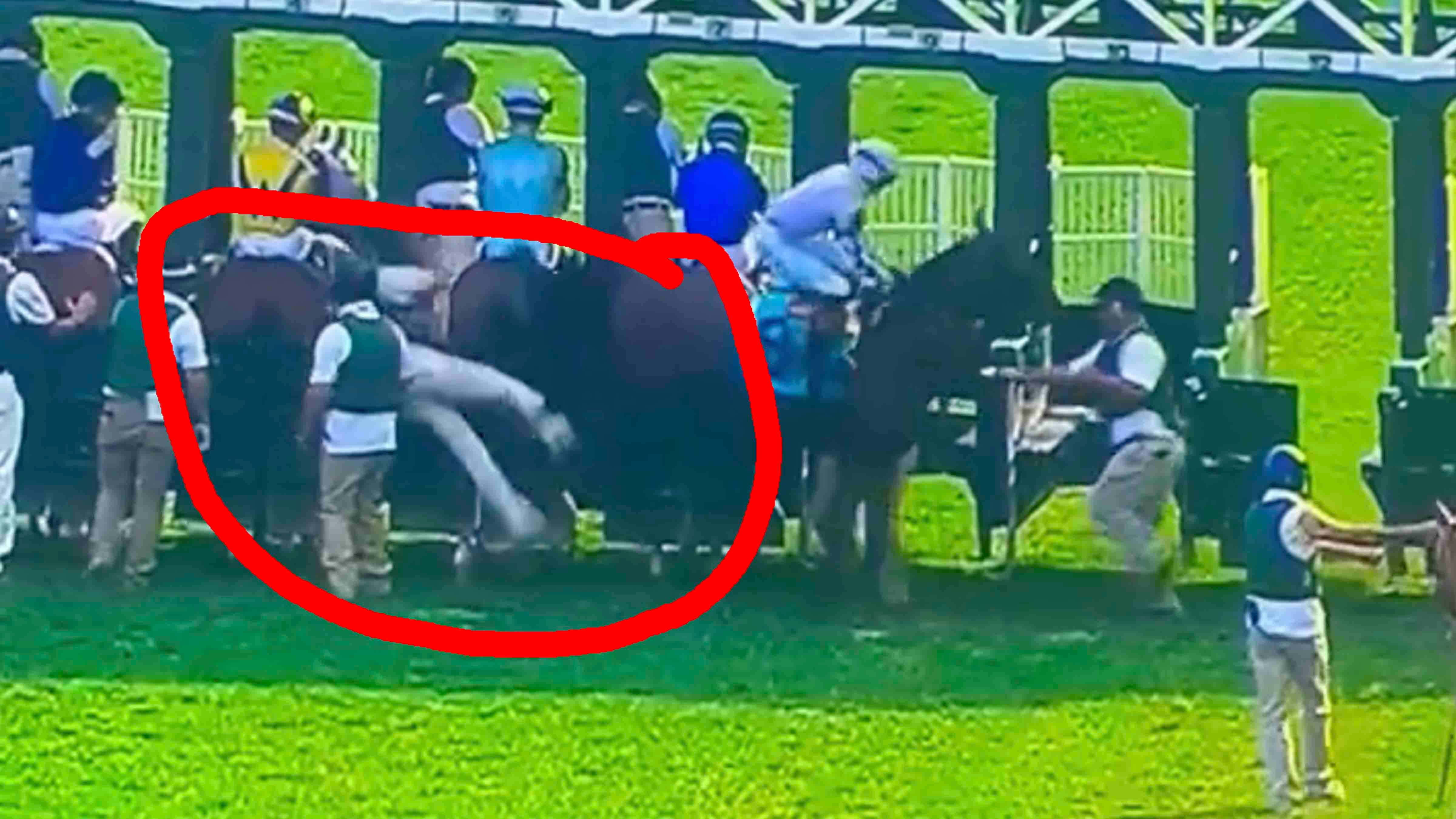 You still here 8 4 24