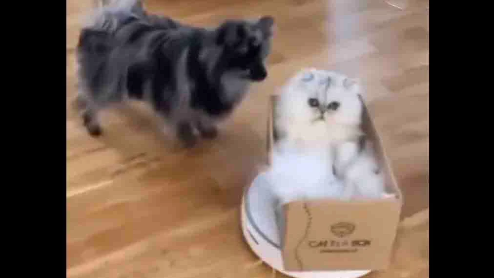 You still here 9 11 23