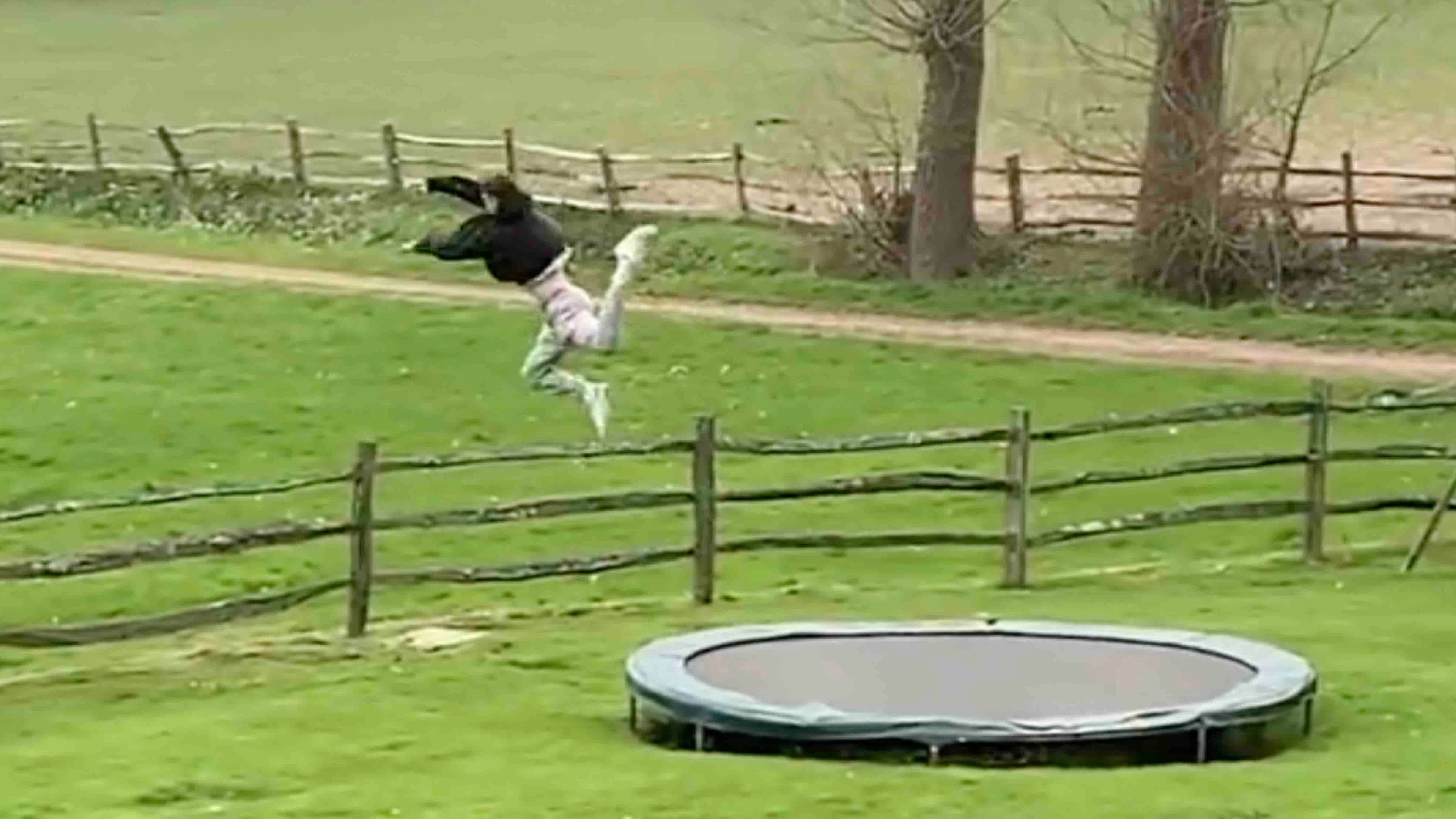 You still here 9 29 23