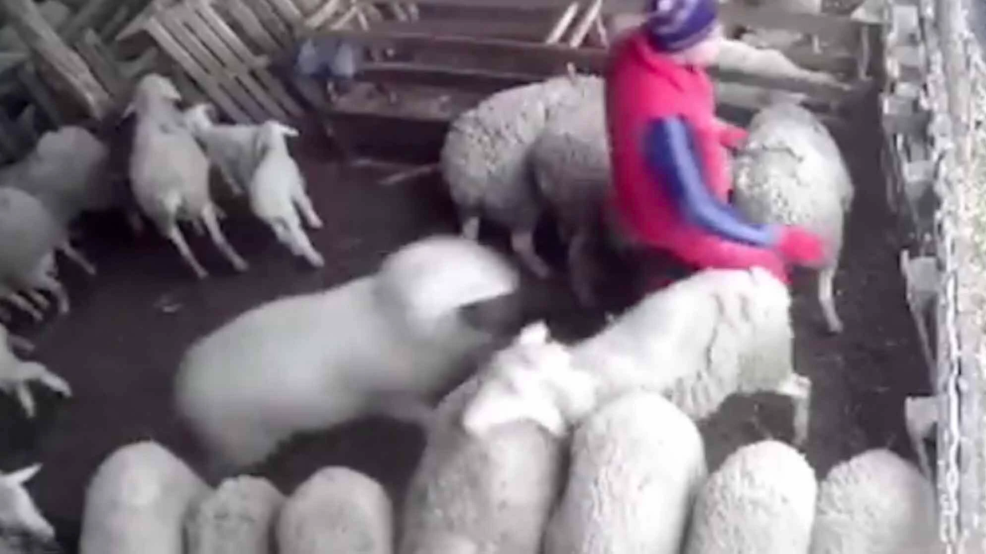 You still here 9 30 23