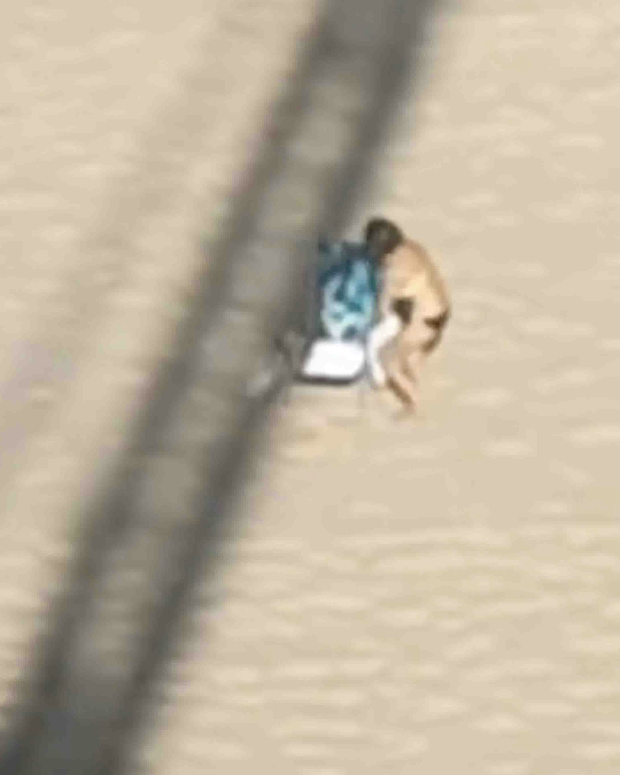 You still here 9 6 24