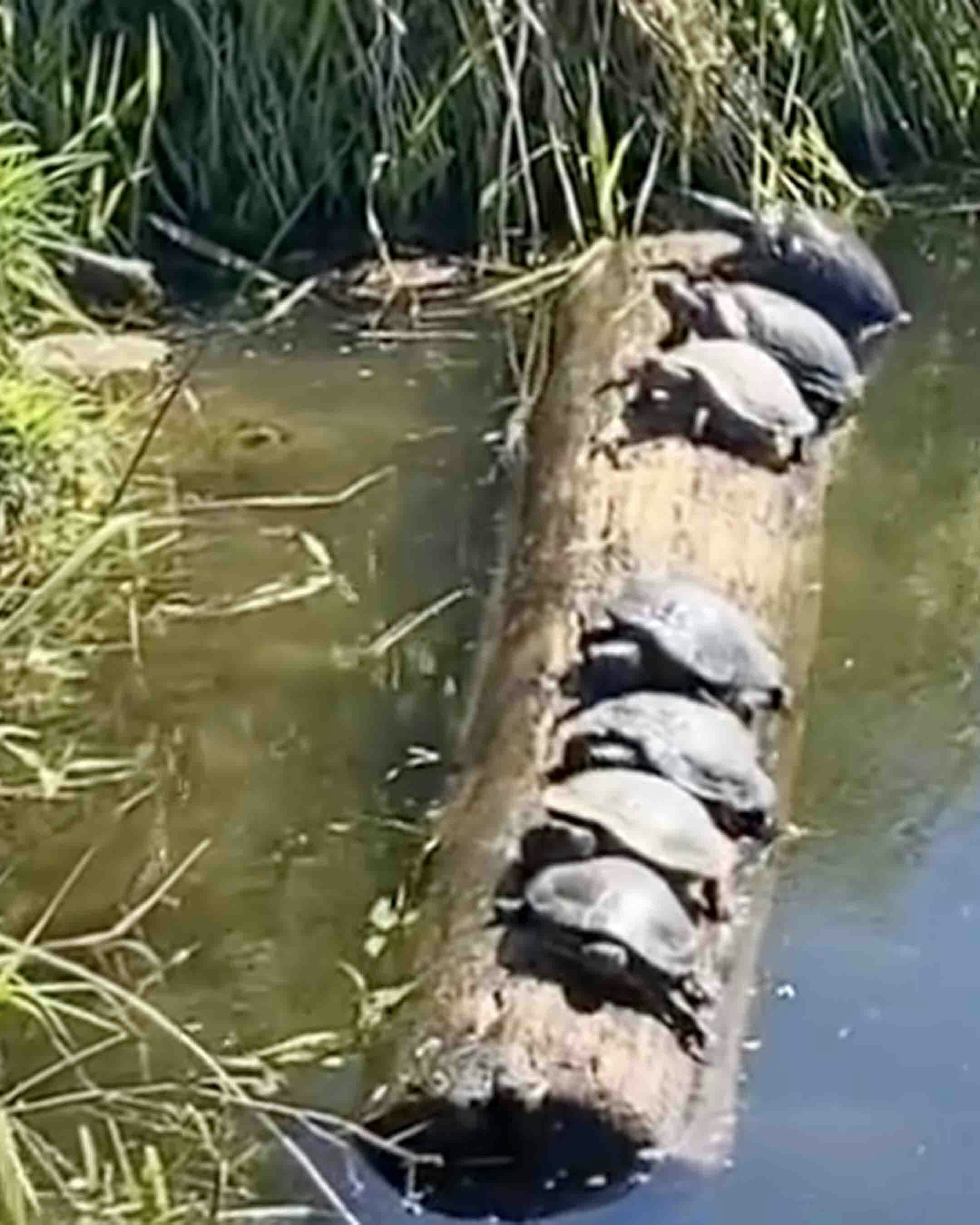 You still here 9 9 24