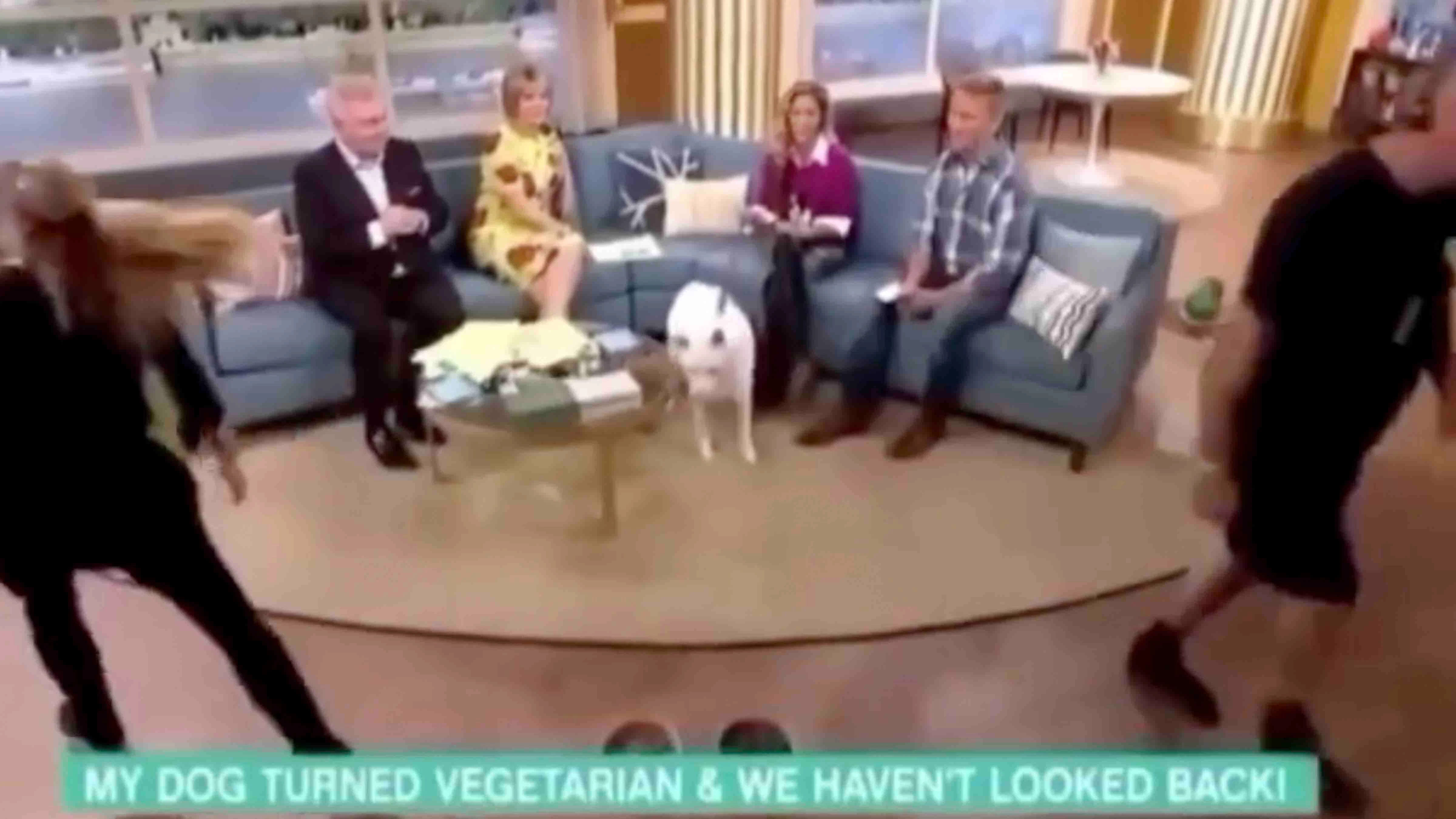 You still here fame 3 28 24