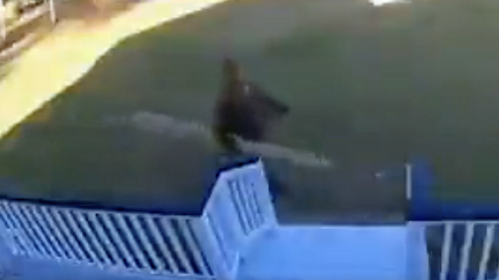 You still here no play 1 29 23