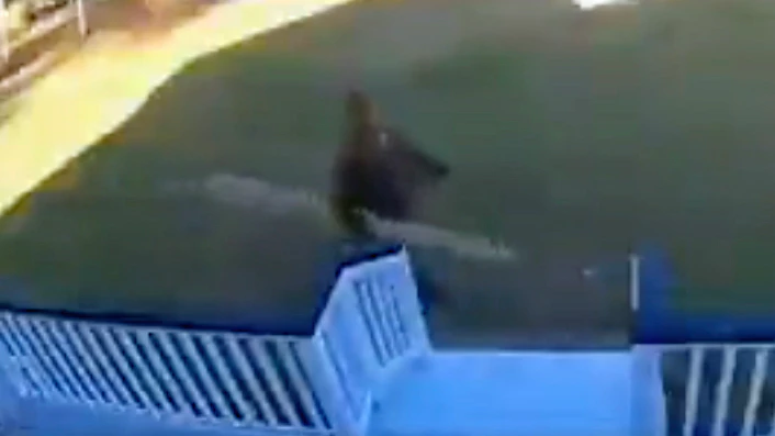 You still here no play 1 29 23