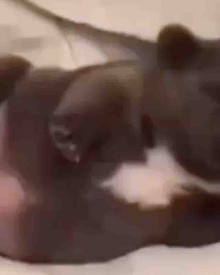 You still here no play 1 4 25