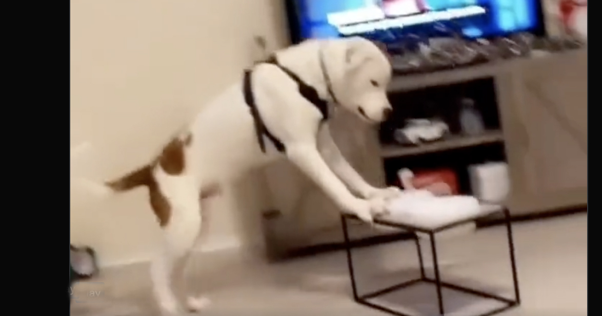 You still here no play 10 12 22