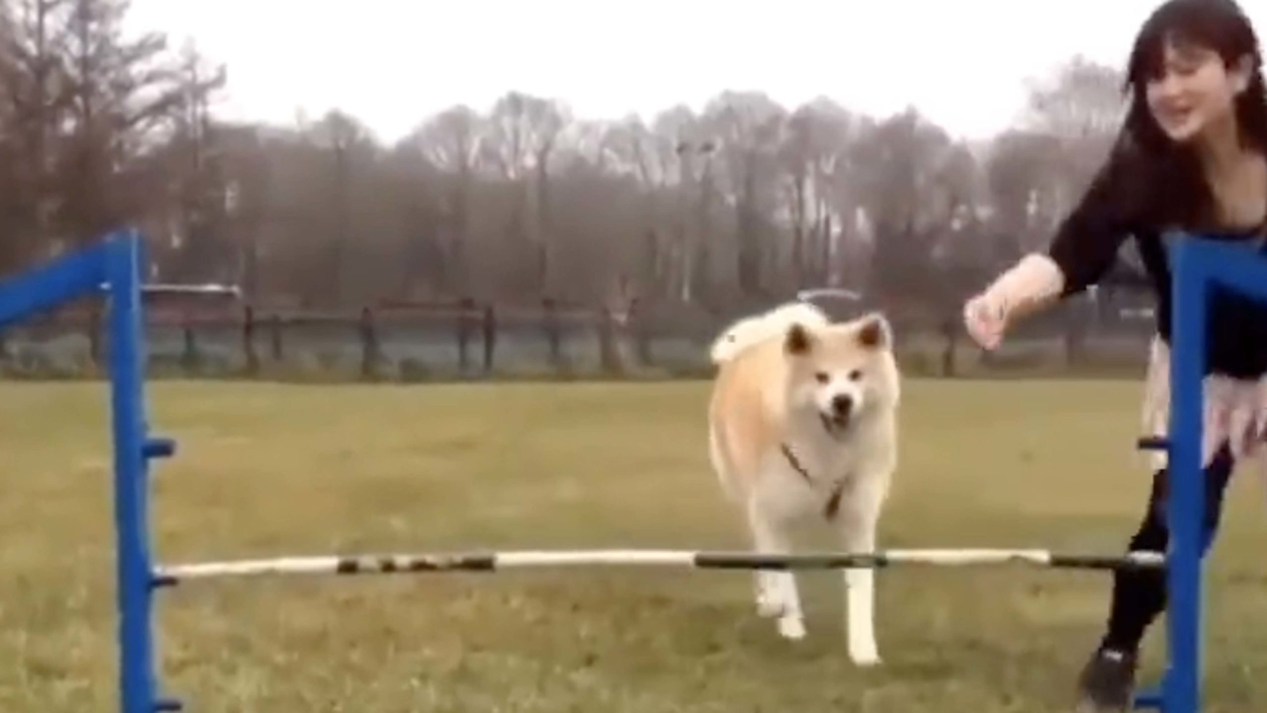 You still here no play 10 13 22 scaled