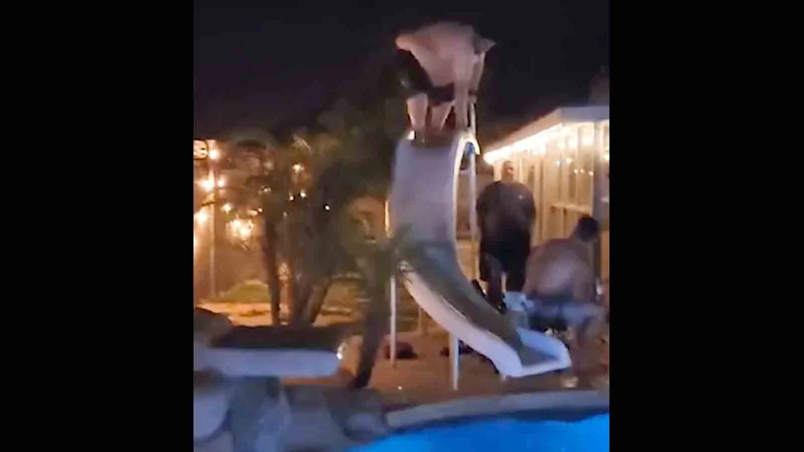 You still here no play 10 8 23