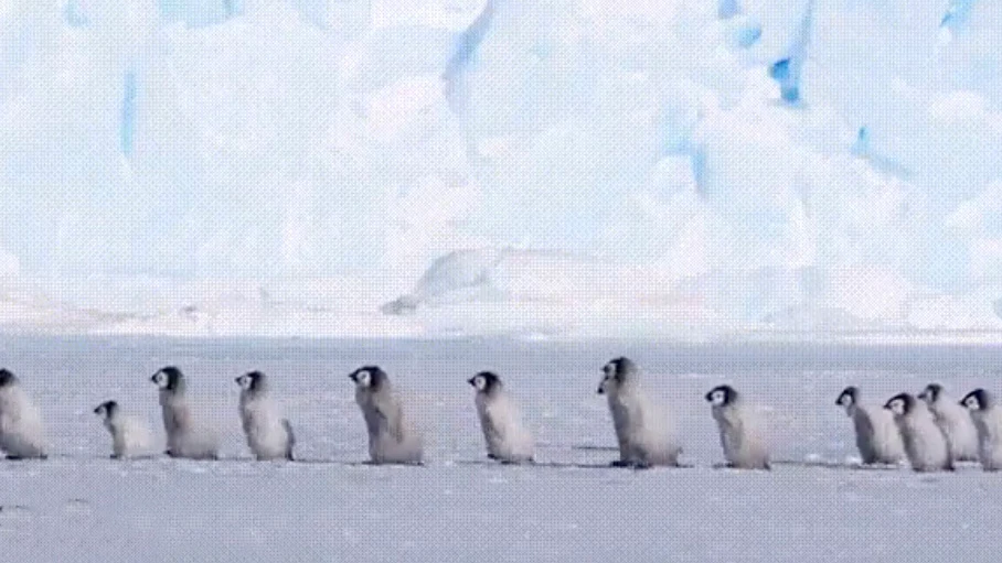 You still here no play 11 7 22