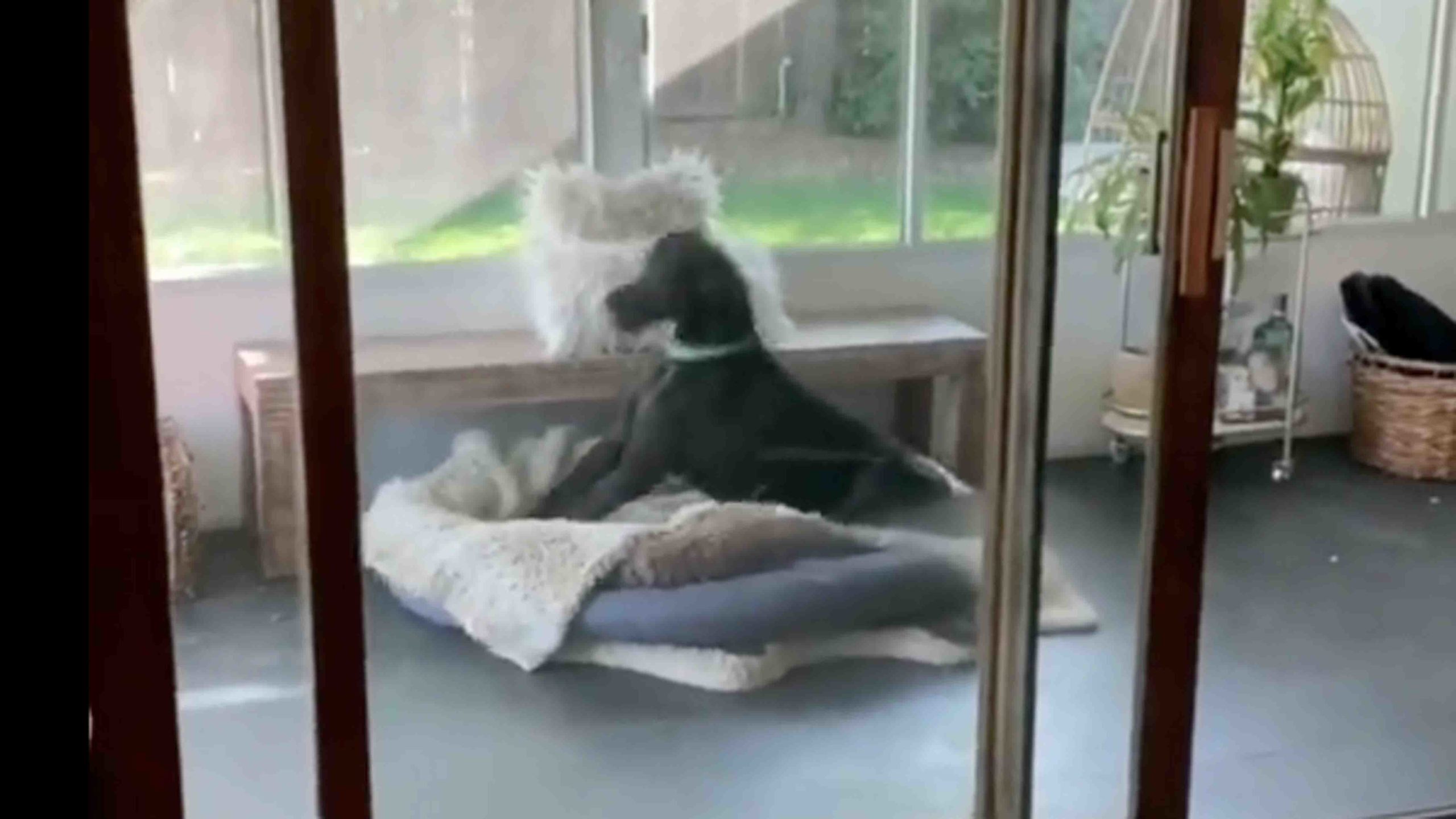 You still here no play 11 9 22 scaled