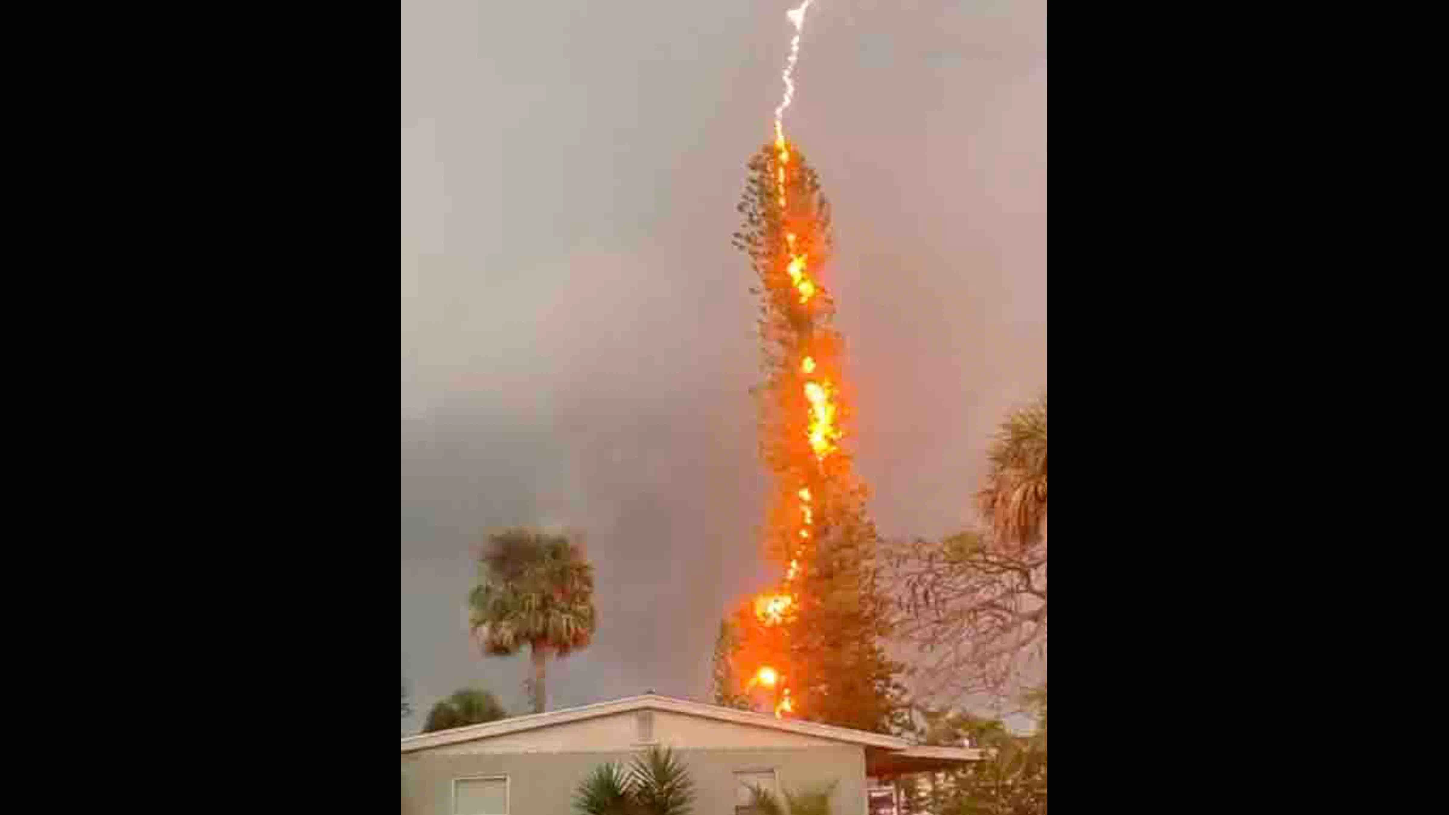 You still here v2 11 14 23