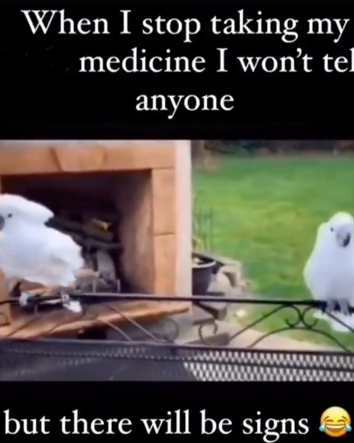 You still here v2 8 17 25