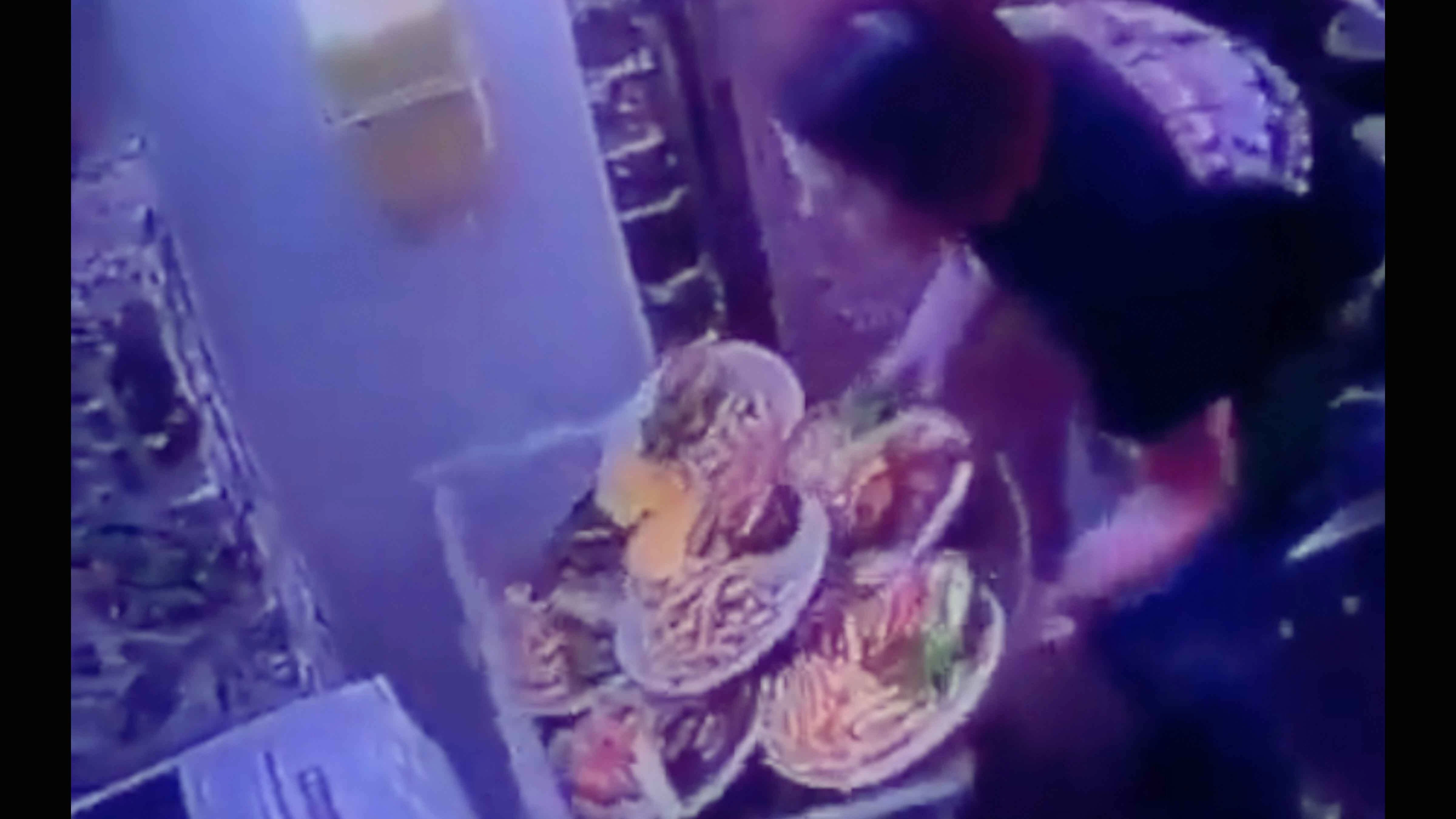 You still here v2 8 26 23