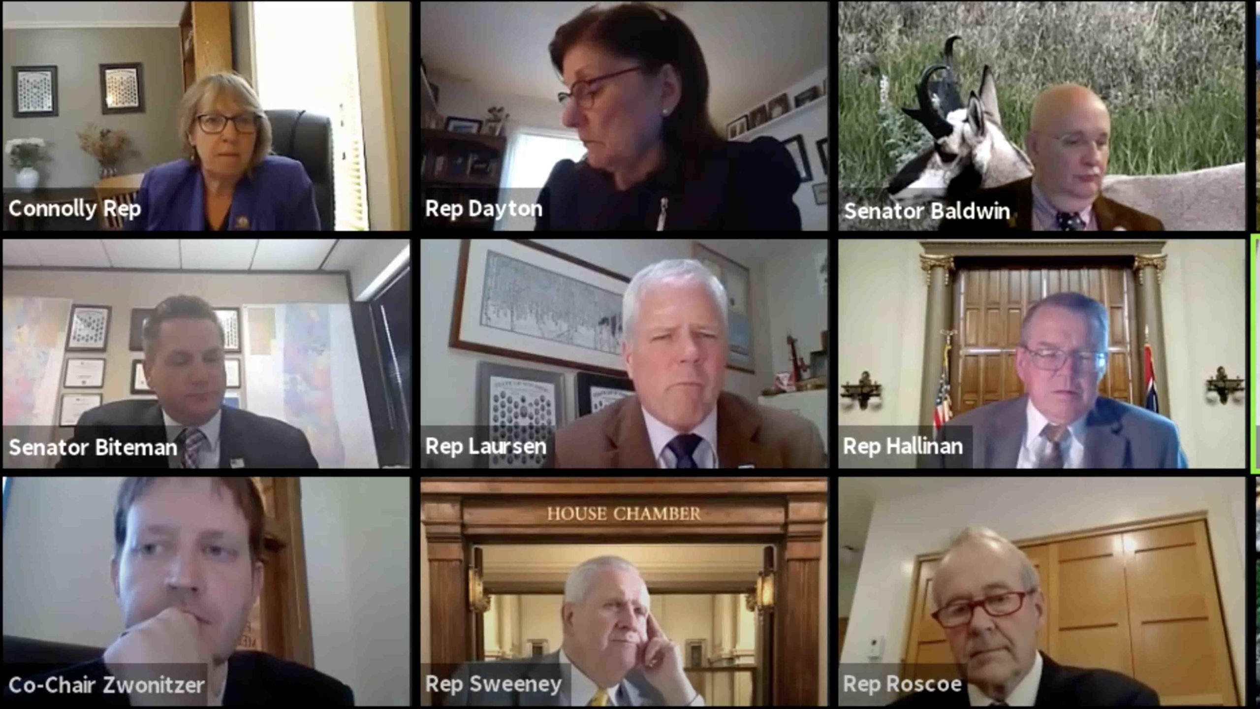 Zoom screenshot scaled